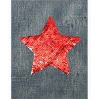 Дневник универсальный А5+ твердая обложка, кожзам Red Star вставка из пайеток, ляссе 2021988 deVente 6/24