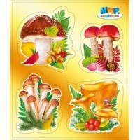 Мир поздравлений/Наклейка. Грибы/080.747/ Мир поздравлений/Наклейка. Грибы/080.747/