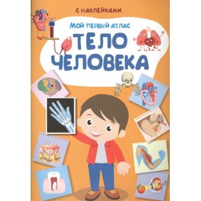 Мой первый атлас. Тело человека. 