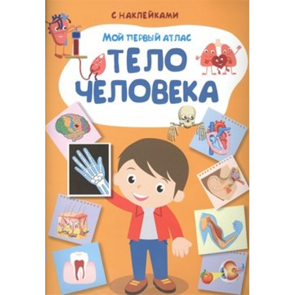 Мой первый атлас. Тело человека. 