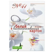 Картон белый А4 20 листов 190г/м2 Хобби тайм Набор №41 Высококачественный мелованный, папка 11-420-109 Альт