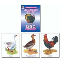 Домашние птицы. С-763. Домашние птицы. С-763.