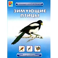 Зимующие птицы. Демонстрационный маериал. Детям дошкольного и младшего школьного возраста. С-764. 