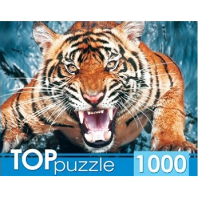 Рыжий кот Пазл 1000 TopPuzzle Грозный тигр ГИТП1000-2145 Россия