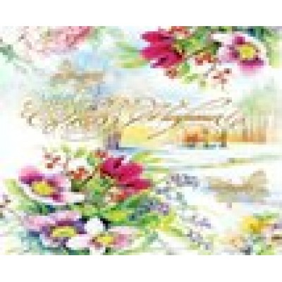 Альянс/Откр. С 8 марта/29-50004/