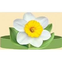 Империя поздравлений/Маска-ободок. Цветок Нарцисс/59,009,00/