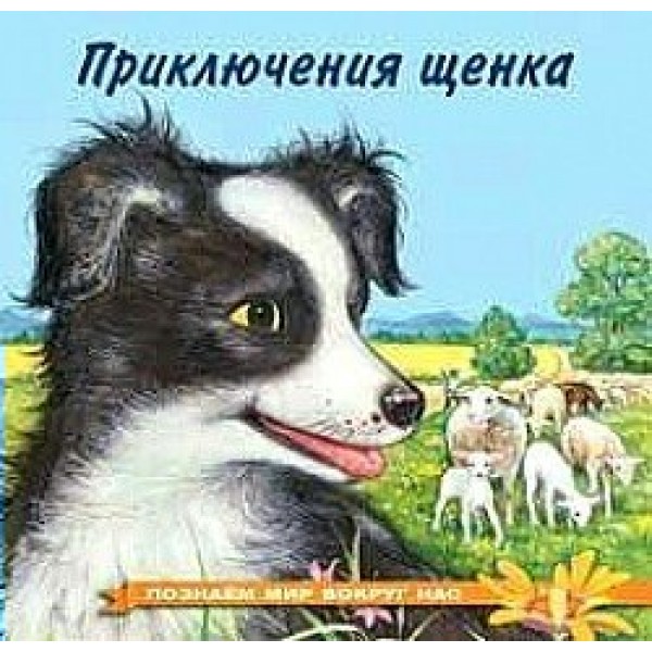 Приключения щенка. Гурина И.В.