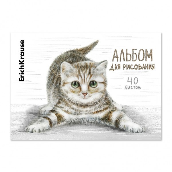 Альбом 40 листов для рисования А4 склейка Tabby жесткая подложка, 120г/м2 49844 ErichKrause 5/20