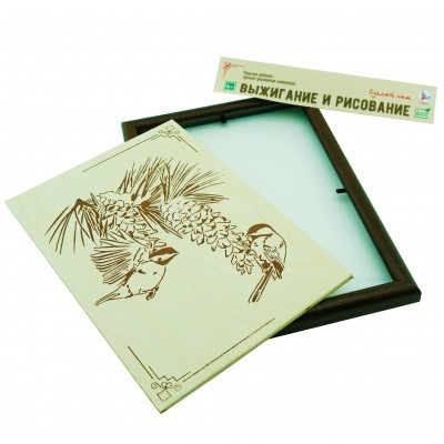 Наборы для выжигания и росписи №17 Птицы+рамка Р5177 Ракета