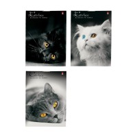 Блокнот 40 листов А7 клетка Кошки 3-40-519 Альт Блокнот 40 листов А7 клетка Кошки 3-40-519 Альт