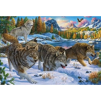 Мозаика алмазная 30х40 Волчья стая част.выкл. б/под. 25цв. ACG065 Рыжий кот Мозаика алмазная 30х40 Волчья стая част.выкл. б/под. 25цв. ACG065 Рыжий кот
