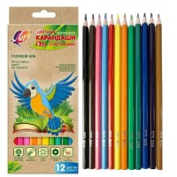 Карандаши цветные 12шт ZOO 6-гранные, заточенные, пластиковые 29С1740-08 Луч  208551