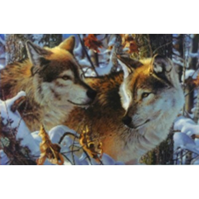 Вышивание бисером холст б/подрам. 23х27см Волки в зимнем лесу 526 Color Kit