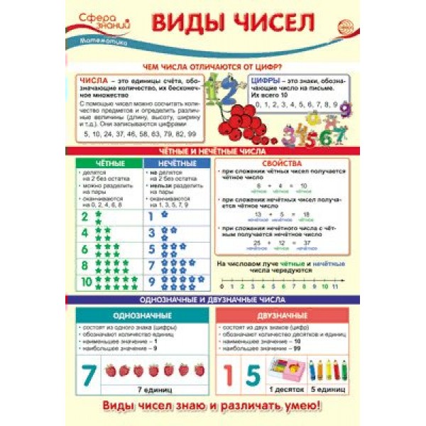 Виды чисел. А3. ПО - 013504. 