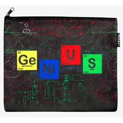 Папка для тетрадей А5 на молнии Genius кожзам 8056107 deVente Папка для тетрадей А5 на молнии Genius кожзам 8056107 deVente