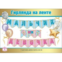 Праздник/Гирлянда. Мальчик или девочка?/0600383/