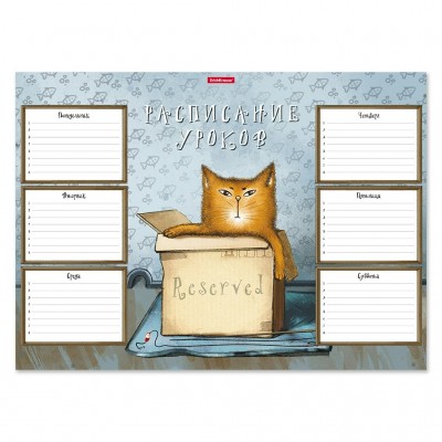 Расписание  А3 Cat&Box картон 49708 ErichKrause