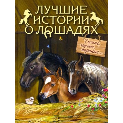Лучшие истории о лошадях. Рыжие, гнедые, вороные.... 