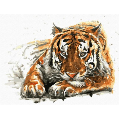 Картина по номерам холст на подрамнике 30х40 Амурский тигр 20цв с цв. схемой KK0685 Молли