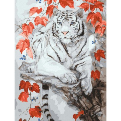 Картина по номерам холст на подрамнике 30х40 Бенгальский тигр 19 цветов с цветовой схемой KK0720 Молли