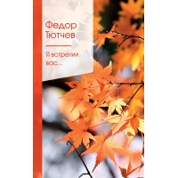 Я встретил вас.... Тютчев Ф.И.