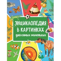 Энциклопедия в картинках для самых маленьких. 