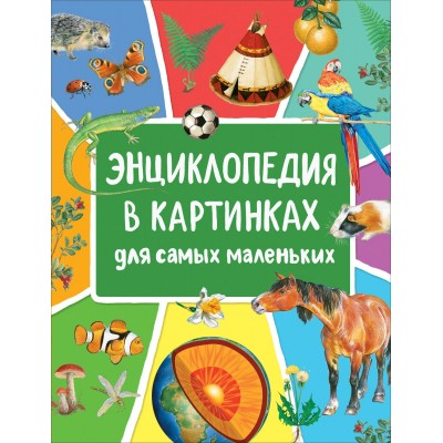 Энциклопедия в картинках для самых маленьких.  Энциклопедия в картинках для самых маленьких.
