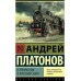 В прекрасном и яростном мире. Платонов А.П.