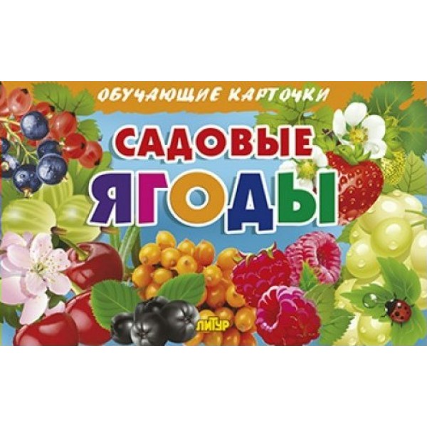 Садовые ягоды. 