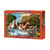 Castor Land Пазл 1000  Бегущие по воде C-104789 Польша