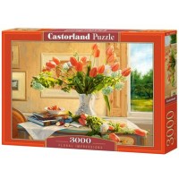 Castor Land Пазл 3000  Цветочная импровизация C-300594 Польша