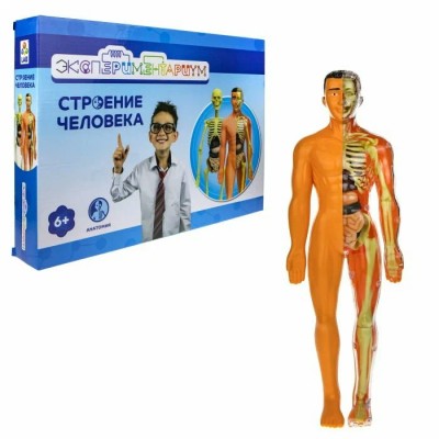 1 Toy Игрушка  ЭксПериМентАр Конструктор. Анатомия. Строение человека Т21875 Китай
