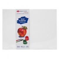 Холст на картоне 30х40см 280г/м2, хлопок 100%, мелкое зерно Я-Художник 245451812 ЗХК 12/60