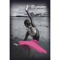 Ежедневник недатированный А5 80л лин. тв. обл. Collezione Балерина у воды глянц. лам. 80-8240 ПрофПресс