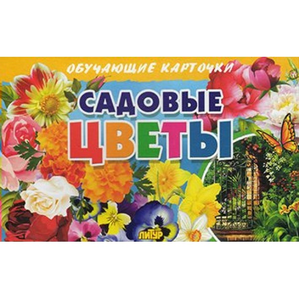 Садовые цветы. 