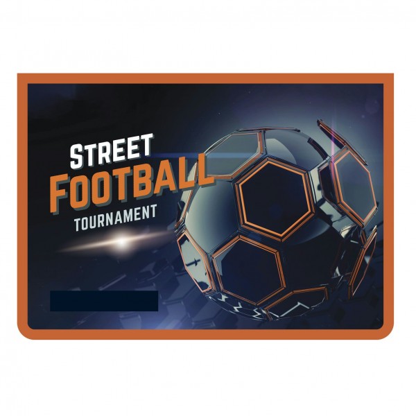 Папка для тетрадей А4 на молнии Street Football ПМ-А4-29 Пчелка