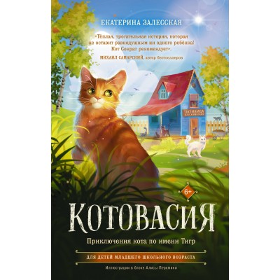 Котовасия. Приключения кота по имени Тигр. Е. Залесская