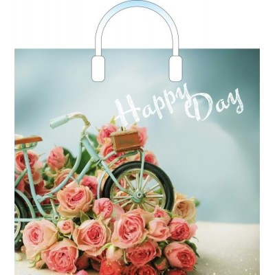 Артпласт/Пакет полиэтиленовый с пластиковой ручкой. Happy Day. Счастливый день/380 х 340/ПЛР54565/
