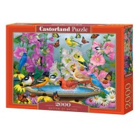 Castor Land Пазл 2000  Ритм природы C-200818 Польша
