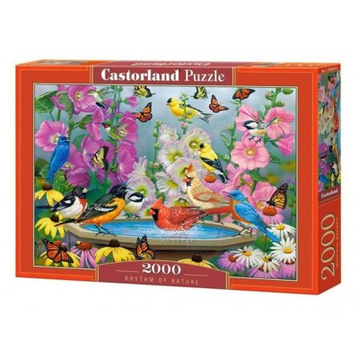 Castor Land Пазл 2000  Ритм природы С-200818 Польша