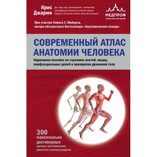 Современный атлас анатомии человека. Карманное пособие по строению костей, мышц, миофасциальных цепей и принципам движения тела. К. Джарми