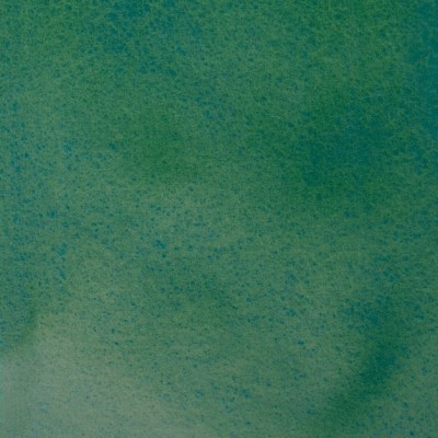 Краска акварельная  художественная 2,5мл пласт. кювета Белые ночи Зеленая дымка 1911762 ЗХК