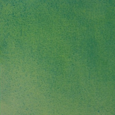Краска акварельная  художественная 2,5мл пласт. кювета Белые ночи Желто-зеленая дымка 1911763 ЗХК