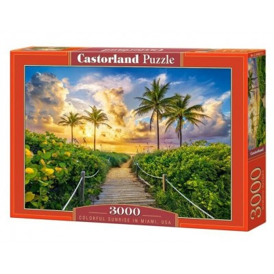 Castor Land Пазл 3000  Восход солнца в Майами. США С-300617 Россия