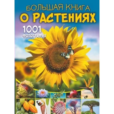 Большая книга о растениях. 1001 фотография. Медведев Д.Ю.