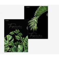 Папка уголок А4 180мкм Tropicana непрозрачная, тиснение фольгой 3074216 deVente 12/120