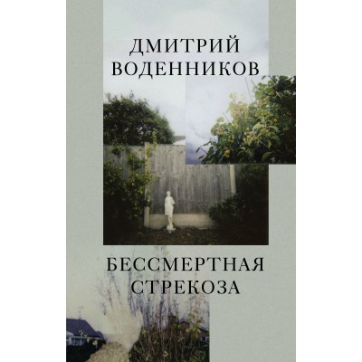 Бессмертная стрекоза. Воденников Д.Б. Бессмертная стрекоза. Воденников Д.Б.