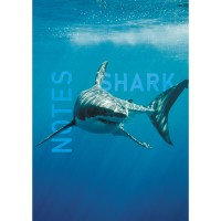 Книжка записная 80 листов А5 клетка, интегральная обложка Shark глянцевая ламинация, 60г/м2 ЕТИ580539 Эксмо Книжка записная 80 листов А5 клетка, интегральная обложка Shark глянцевая ламинация, 60г/м2 ЕТИ580539 Эксмо