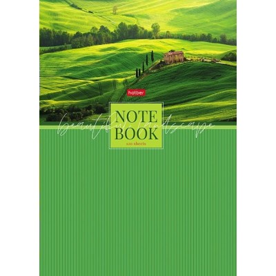 Блокнот 120 листов А4 клетка, твердая обложка Бизнес Зеленые долины 5-цветный блок, глянцевая ламинация, 65г/м2 120ББ4В1_29871 Хатбер  083466