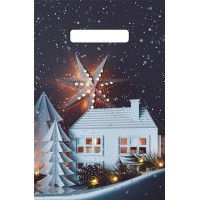 Артпласт/Пакет полиэтиленовый c вырубной ручкой. Новогодний. Миниатюра/200 х 300/ВНР56982/ Артпласт/Пакет полиэтиленовый c вырубной ручкой. Новогодний. Миниатюра/200 х 300/ВНР56982/